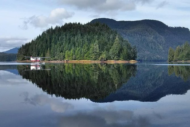 Traitors Cove Bear Viewing - Bear Viewing Experience