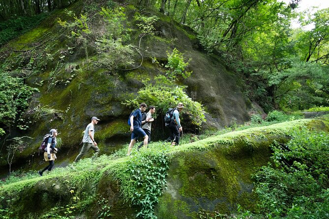 Trekking Tour to Faith, Ancient Paths and the Falls From Hitachi - Experiencing the Local Cuisine