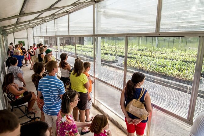 Trolley Tour in Wadmalaw Island of South Carolina - Planning Your Visit to the Charleston Tea Garden