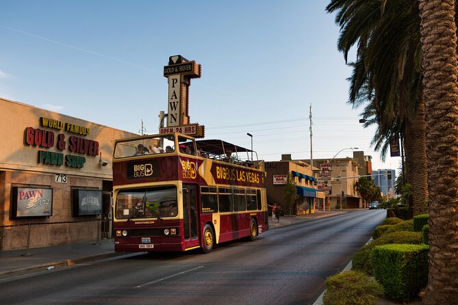 Viator Exclusive: Las Vegas Late Night Tour by Open-Top Bus - Customer Reviews