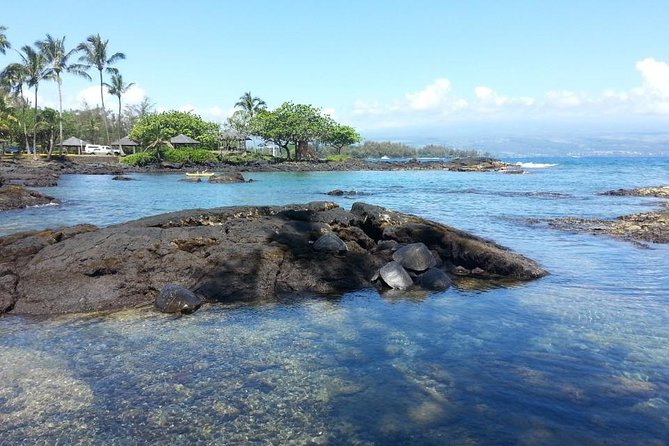 Volcanoes Adventure Tour From Hilo - Guided Experience and Group Size