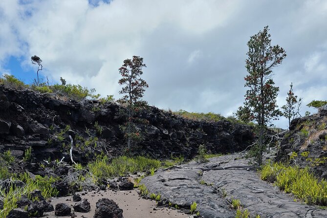 Volcanoes National Park Private Tour - Logistics and Inclusions