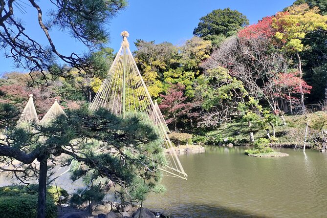 Walking Discovery Tour of Hidden Neighborhoods of Tokyo - Highlights of the Tour