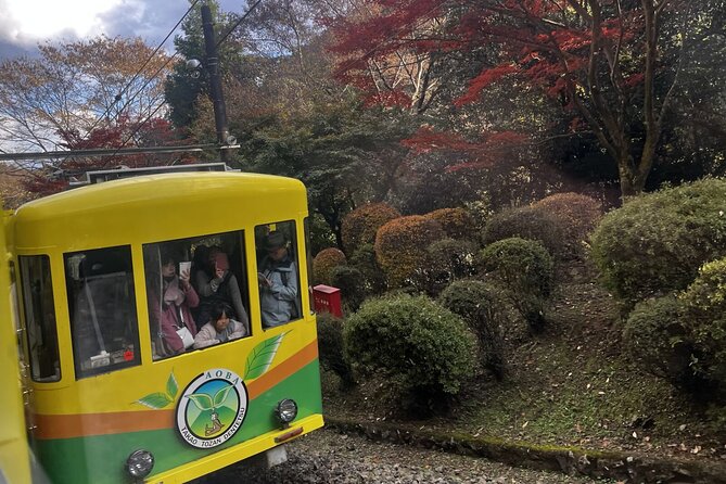 Walking Tour Mount Takao : Nature and Tradition in Tokyo - Exploring Mount Takao
