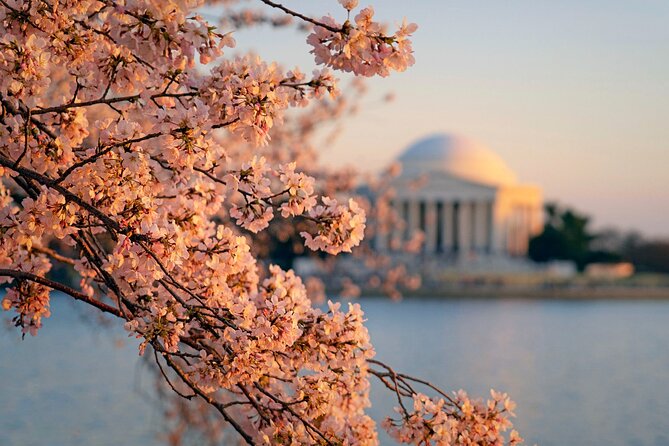 Washington D.C.& Philadelphia 2-Day Tour From New York City - Accessibility and Health Requirements