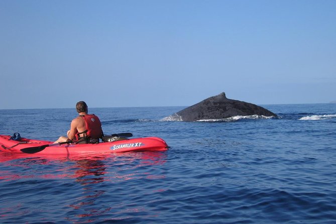 Waterfall Hike and Kayak Snorkel & Paddle From Makena - Highlights of the Experience