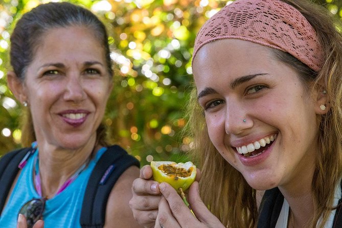Waterfall & Rainforest Hiking Adventure With Hotel Pickup - Explore the Lush Maui Rainforest