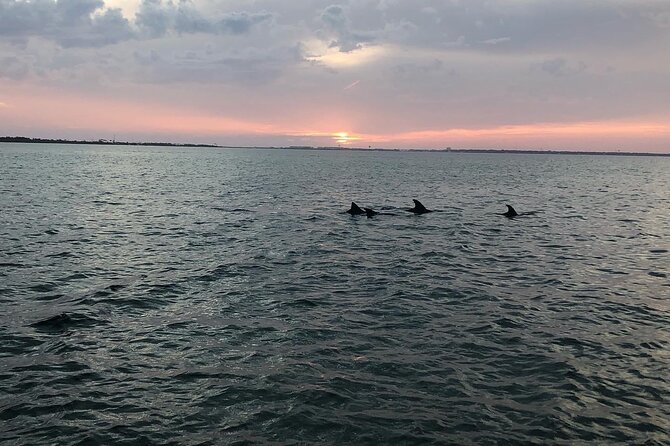 Waverunner Dolphin Tour - Weather and Safety Policies