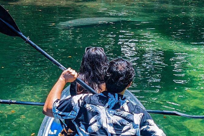 Weeki Wachee Clear Kayak Ecotours Manatee Season - November 14th-March 31st - Operational Notes and Considerations