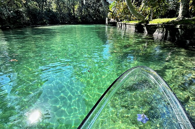 Weeki Wachee Clear Paddle Board Ecotours - Health and Safety Guidelines