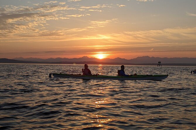 West Seattle Sunset Sea Kayak Tour - Customer Experiences and Testimonials