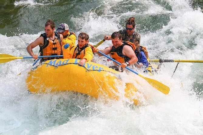 Whitewater Rafting Adventure in Jackson Hole - Small Boats - Wildlife Sightings
