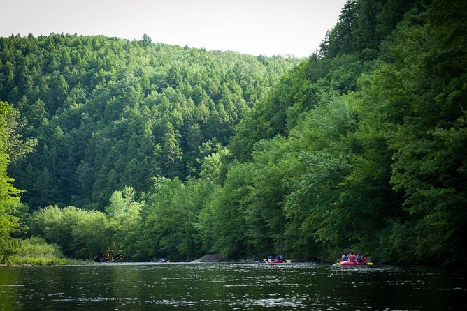 Whitewater Rafting Bus Trip From NYC - Reviews From Fellow Adventurers