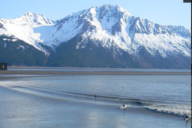 Whittier to Anchorage Cruise Transfer and Private Tour - Tips for a Smooth Experience