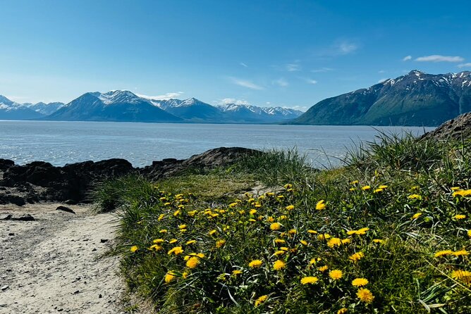 Whittier to Anchorage Land Transfer Tour - Scenic Viewpoints and Wildlife Encounters