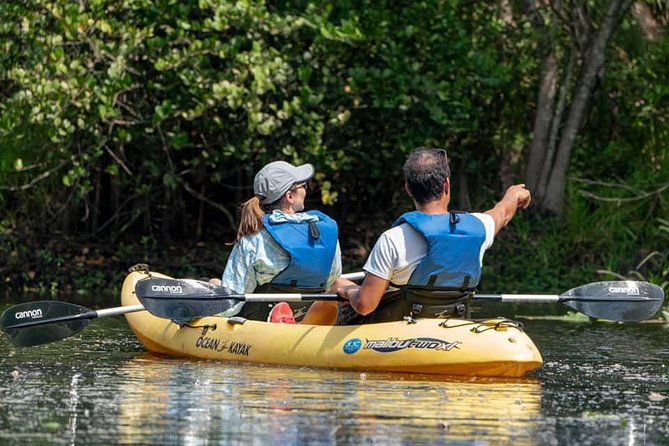 Wild & Scenic Loxahatchee River Guided Tour - Planning Your Loxahatchee River Adventure
