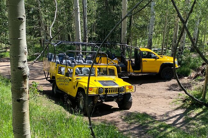 Wildside 4X4s Not So Mellow Marshmallow Tour - Accessibility and Health Recommendations