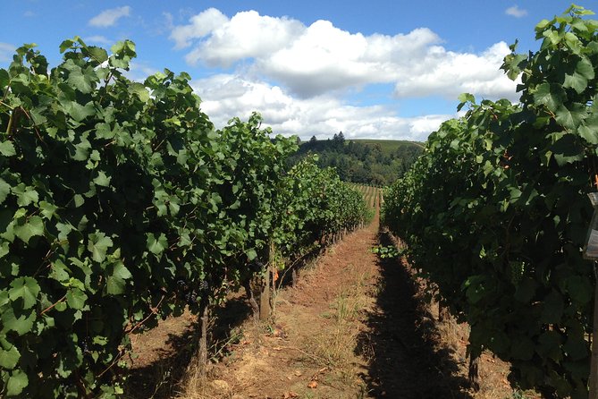 Willamette Valley Wine Tasting Tour From Portland - Discover the Willamette Valley