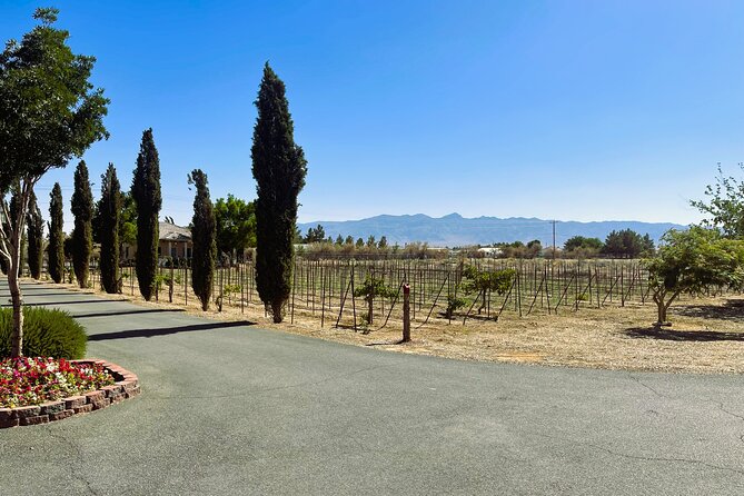 Wine Tasting Tour From Las Vegas With Snacks - Traveler Reviews and Feedback