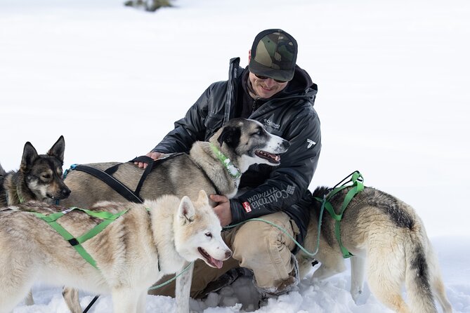 Winter Dog Sled Tour: Day or Night. - What to Expect on Your Tour