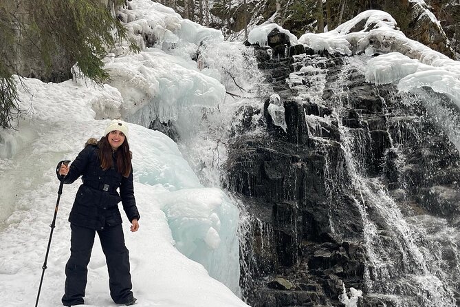 Winter Valley and Forest Hike - Experience Level and Fitness Expectations