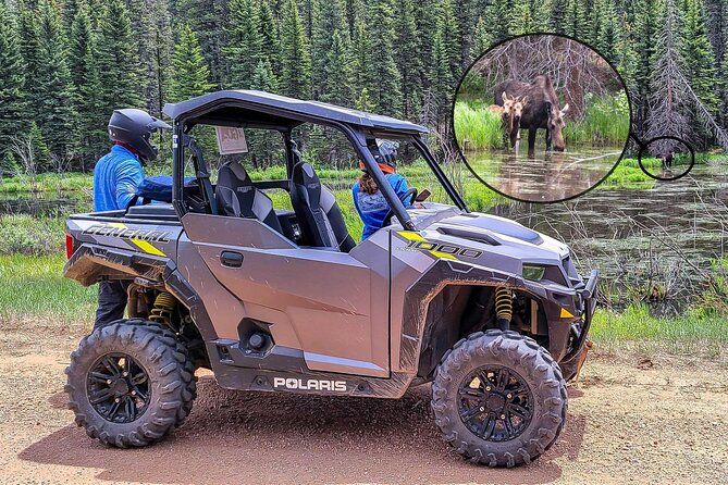 Woodland Park: 4-Hour Self-Guided Rocky Mountain Polaris UTV Tour - Booking Information and Pricing