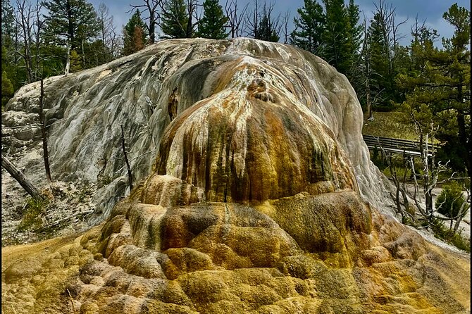 Yellowstone Wildlife and Photo Tours "Upper Loop" Tour From Cody - Cancellation and Confirmation