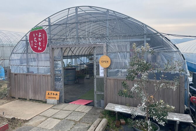 YokaBus 2 Hour Strawberry Feast Healthy Lunch Sakura Dyeing Tour - Important Information