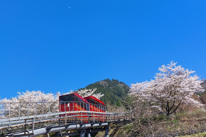 YokaBus Hikosan Jingu and Showa Era Market Tour - Travel Logistics