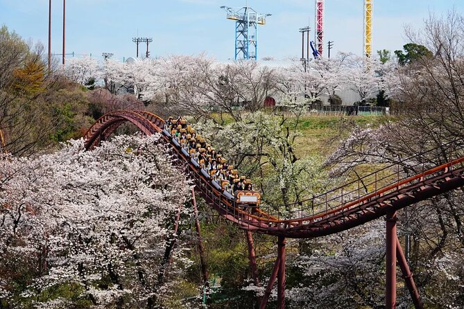 Yomiuriland Express One Day Pass in Tokyo - Confirmation and Participation