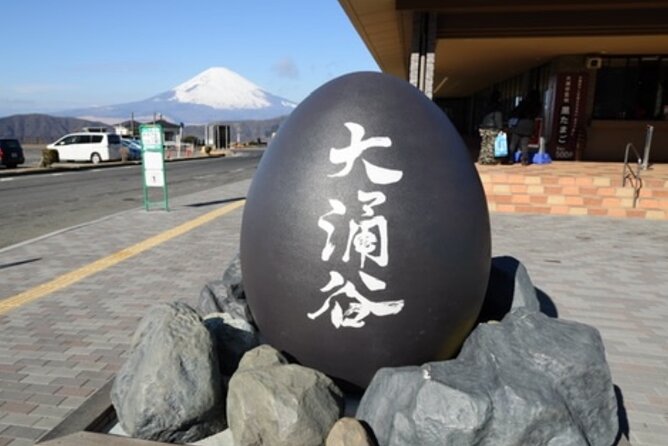 5 Days Tour Mt Fuji Tokyo Kyoto Osaka Nara by Car English Driver - Good To Know