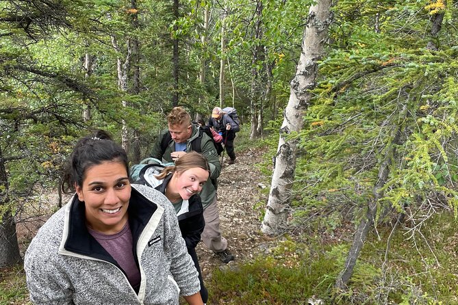 5-Hour Mountain Hiking Tour in the Alaska Range - Denali Area - Good To Know