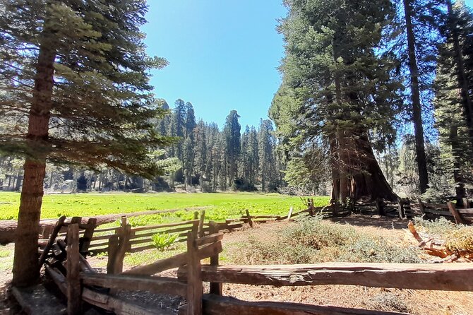 5 Star Rated Winter Private Tour in Sequoia - Good To Know