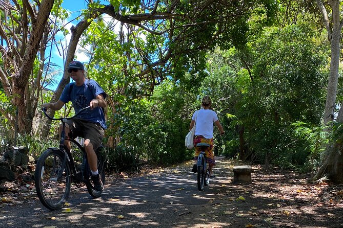 1/2 Circle Island & North Shore Fun With the Surf Bus - Recommended Experiences