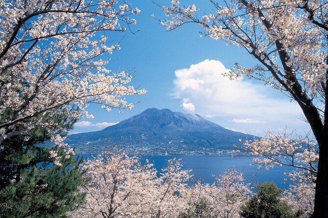 1-Day Private Kagoshima Tour by Car With a Professional Guide - Booking and Cancellation Policy