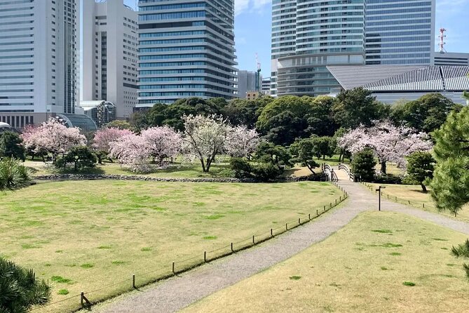 1 Day Tokyo Private Bus Tours + License Guide + Sweets Matcha Set - Accessibility and Suitability