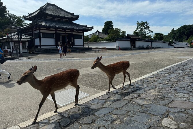 2-Hour Nara: Discover Every Bit of Tohdaiji-Temple Private Tour - Unraveling the Significance of the Nigatsu-do Hall