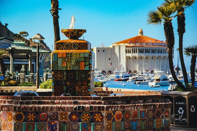 2 Hour Private Tour of Avalon - Testimonials and Customer Feedback