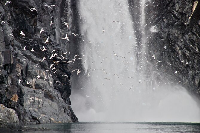 26 Glacier Tour, Self-Drive From Anchorage, AK - Exploring the Surrounding Alaskan Landscape