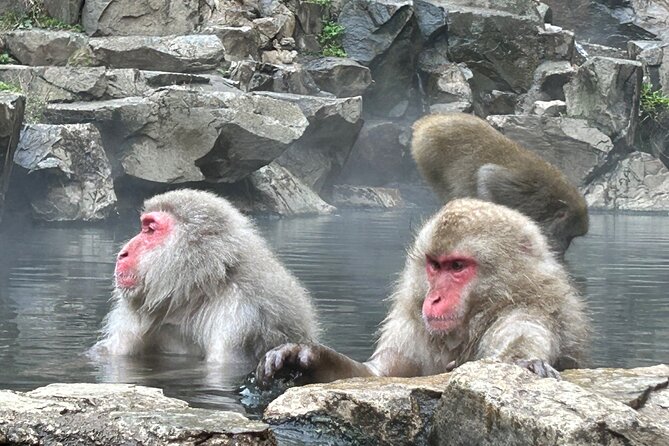 2DAYS 1NIGHT Private Tour, Tokyo~Nagano~Nagoya, 2-10 Guests - Highlights of Tokyo