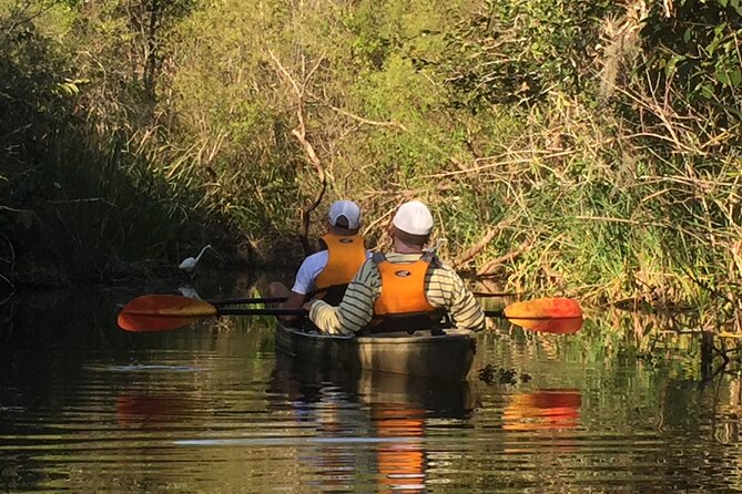 2Hour Everglades Kayak Safari Adventure Through Mangrove Tunnels - Wildlife Sightings and Ecosystems