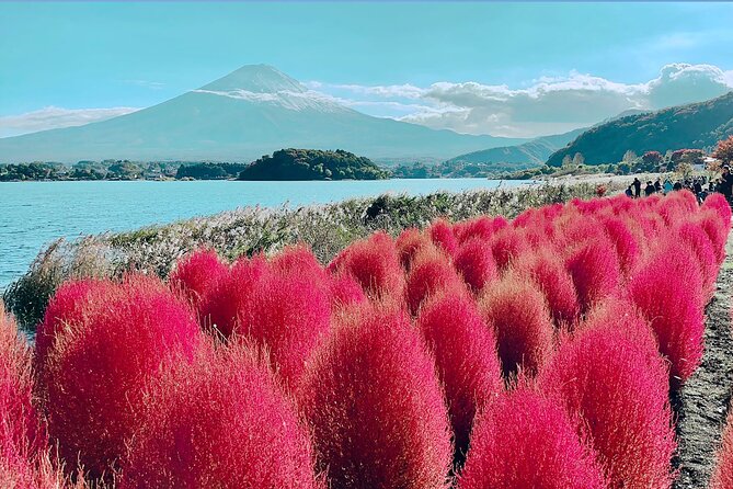 3 Days Tokyo, Mount Fuji and Nikko Private Tour - Additional Information