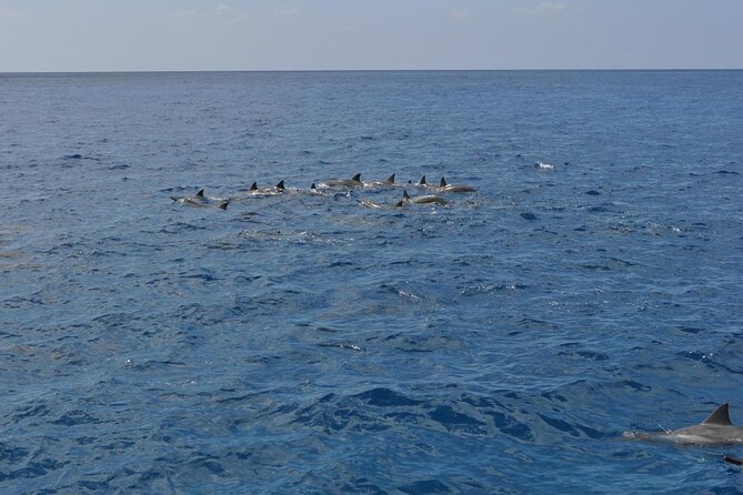 3-Hour Small-Group Maalaea Luxury Snorkel Cruise Tour - Guest Experiences