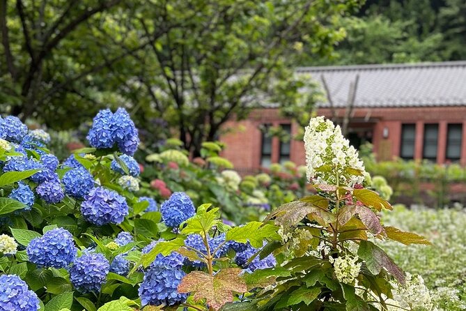 3 Hours Private Historical Walking Tour of Miura Peninsula - Navigating the Tour With Ease and Convenience