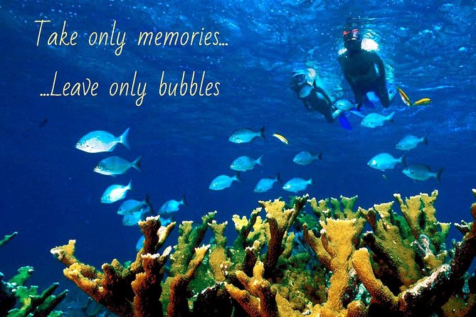 4 Hour Molokini Snorkel Tour Adventure in Maui - Accessibility and Fitness Level