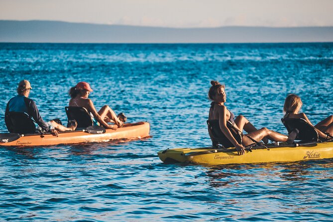4 Hour Private Custom Kayak Tour Lahaina - Pricing Details and Payment Options