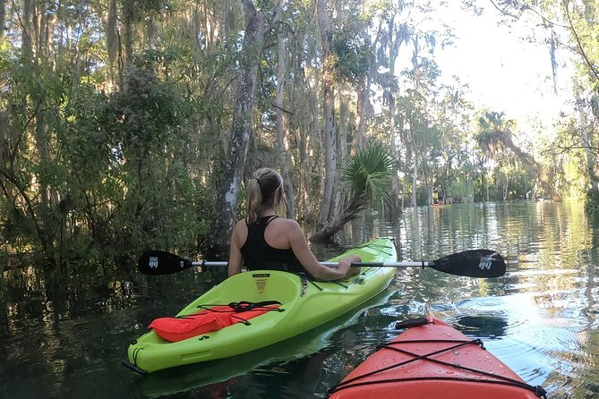 4 Hour Single Kayak Rental In Crystal River, Florida - Self-Guided Exploration Experience