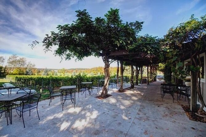4-Hour Traverse City Sunset Wine Tour: 3 Wineries on Old Mission Peninsula - Customer Experiences and Recommendations
