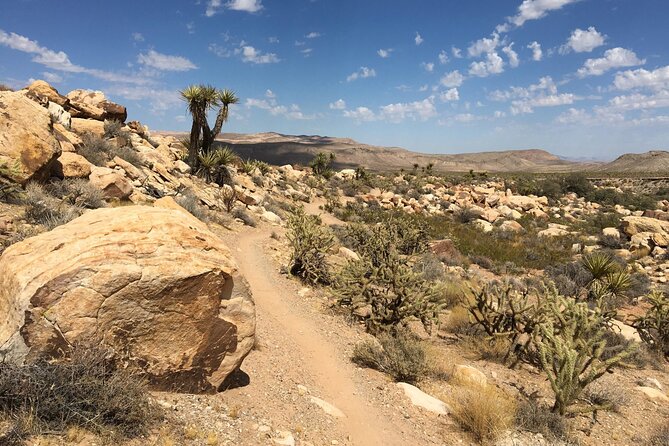5 Hour Las Vegas Off-Road Secrets: Self Drive Jeep Adventure - Essential Supplies for Your Off-Road Experience