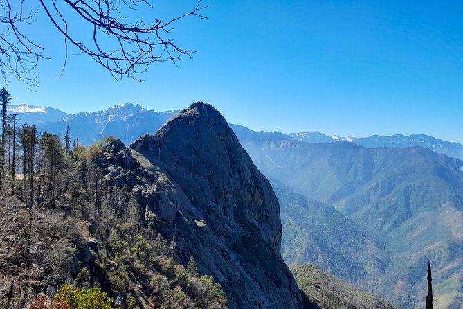 5 Star Rated Sequoia National Park Tour - Why Choose This Tour